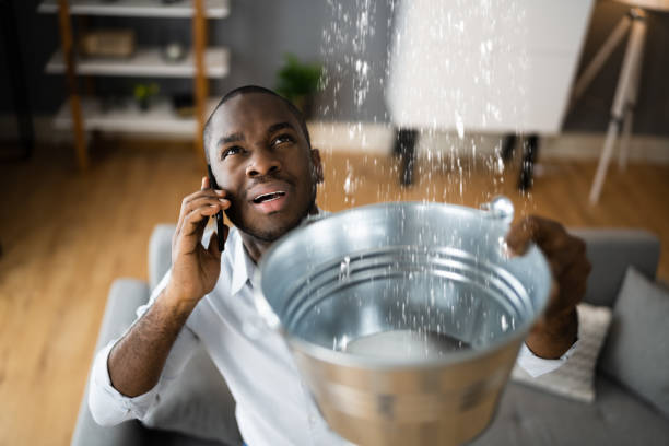 Best Ceiling water damage repair  in Gainesville, TX