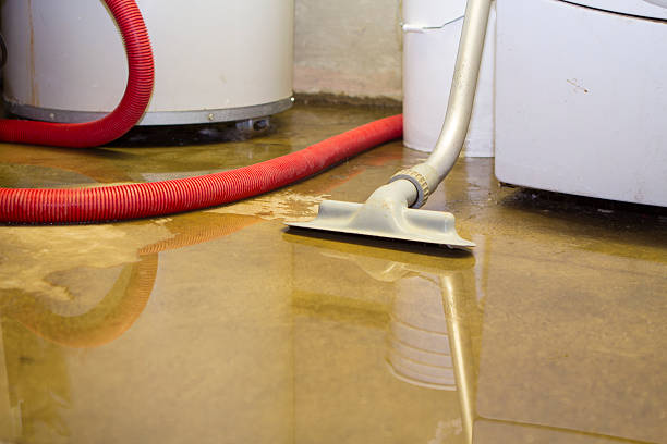 Best Water damage cleanup near me  in Gainesville, TX