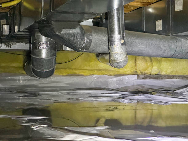 Best Basement water damage restoration  in Gainesville, TX